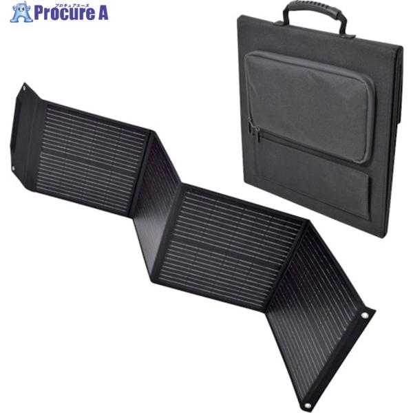 NICHIDO ピンバン用ソーラーパネル 100W  ▼537-0697 LPE-SO100  1台