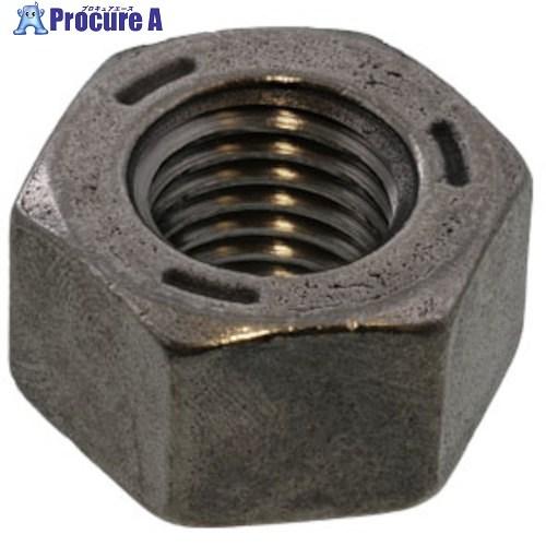 SUNCO 生地 F10Tハイテン用ナット  M16 (1本入)  ■▼541-1403 M0-00...