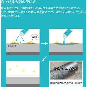 NIS 白さび除去剤 1Kg ▼548-554...の詳細画像2