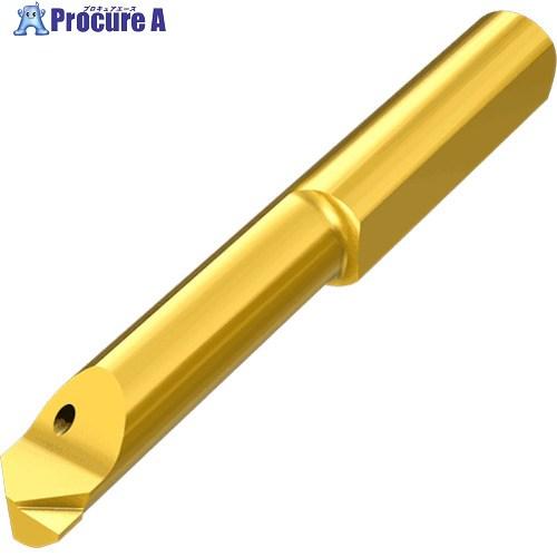 イスカル ピコカット ソリッドバー PICCO R/LM IC909  ■▼570-7980 PIC...