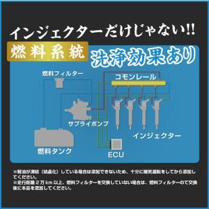 グリーンクロス 煤殺し青 500ml エンジン...の詳細画像3