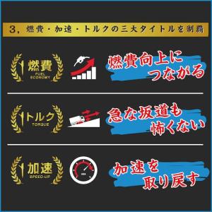 グリーンクロス 煤殺し青 500ml エンジン...の詳細画像5