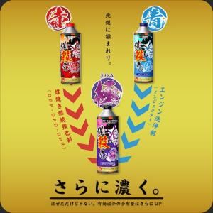 グリーンクロス 煤殺し極 500ml エンジン...の詳細画像2