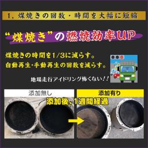グリーンクロス 煤殺し極 500ml エンジン...の詳細画像3