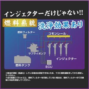 グリーンクロス 煤殺し極 500ml エンジン...の詳細画像5