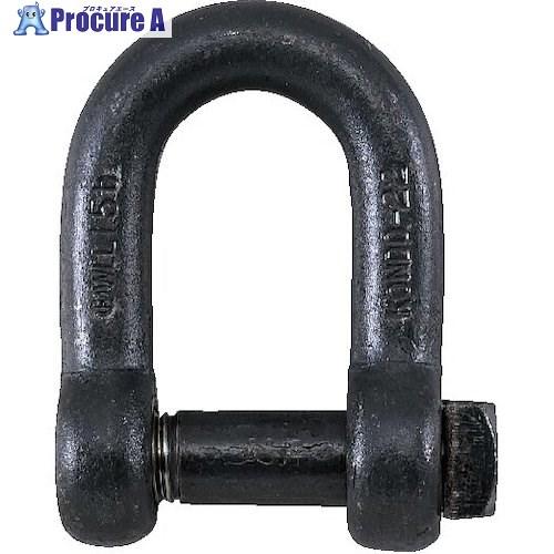 コンドーテック 角頭シャックル 共ピン 呼び12mm  ■▼587-6300 02105A012  ...