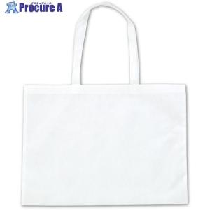 ArTeC 作品バック不織布製 8切 白(11364) ■▼633-4690 11364 1個