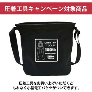 エビ 【数量限定 キャンペーン品】AK15A+...の詳細画像2