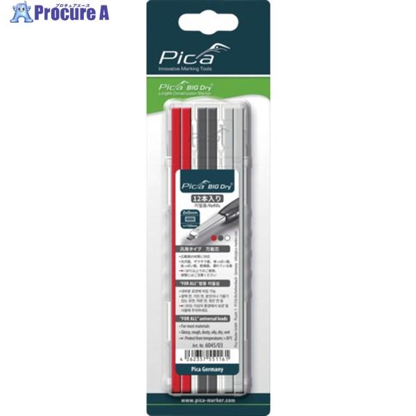ピカマーカー 建築用シャープペンシルBIG Dry用替芯 12本入り 赤黒白(各4本)  ▼665-...
