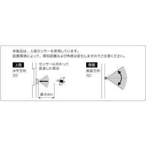 グリーンクロス 人感センサー式録音再生機 トー...の詳細画像1