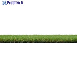 IRIS 108001 ロングパイル人工芝 2m×20m ■▼680-5079 CT-30220R 1枚