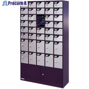 NAIKI 貴重品ロッカー/W890×D300×H1600 ■▼690-8996 ZSB-38VD-TPR 1台