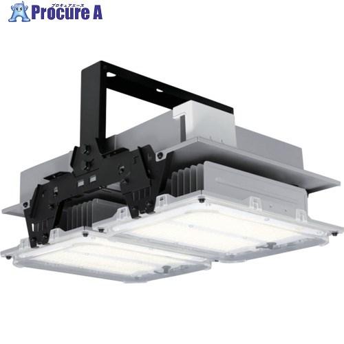 IRIS LED照明器具 296832 高天井用LED照明 LiCONEX 40000lm 昼白色 ...