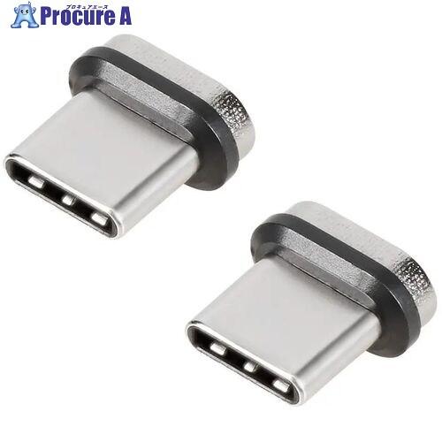 Owltech PD60W充電対応 Type-C変換アダプタ コネクタ2個セット  ■▼704-73...