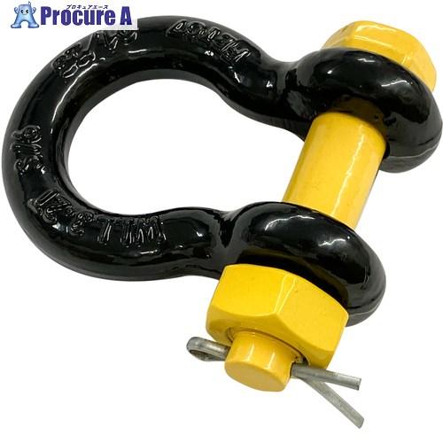 DAIDOHANT タイガーシャックル ボルトナット型(BB型) 6.5トン用 (d)22mmx(D...