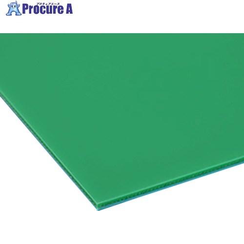 EXSEAL 重量物車両用粘着マット リフトマット 2400×1200×3.0mm  ■▼717-0...