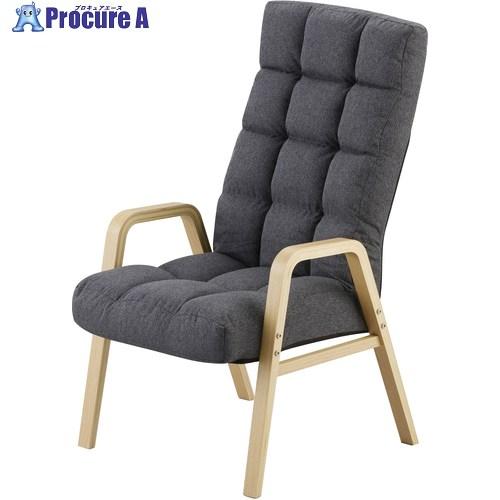 IRIS 113151 ウッドアームチェア Lサイズ ダークグレー  ■▼717-1713 WACR...