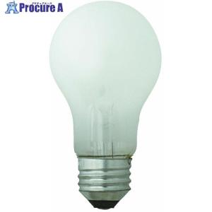 ホワイト ランプ LW100V18W-TMの商品画像