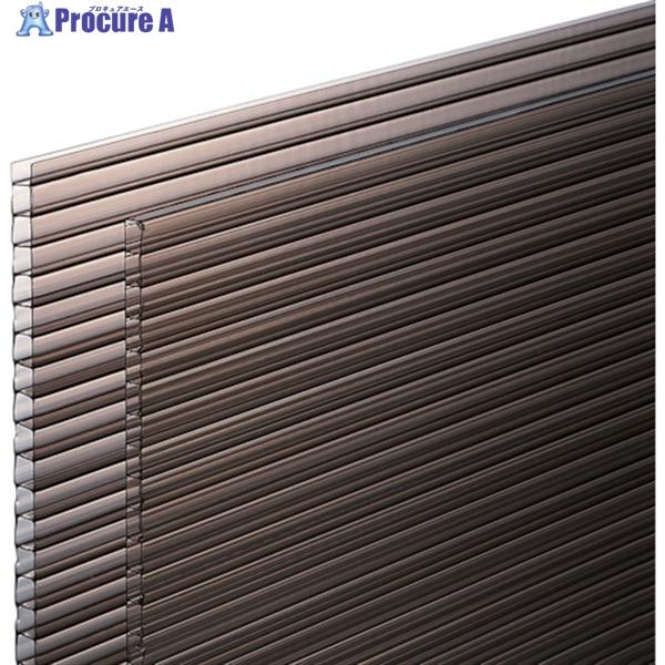 光 ポリカ中空ボード スモーク 910×2100×4  ◇▼751-7696 KTP2191W-2 ...