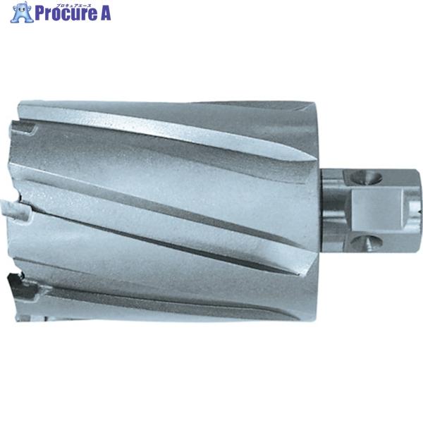 日東 ジェットブローチ ワンタッチタイプ 18X75L 06196  ▼777-9810 NO.06...