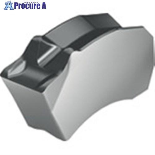Walter 溝入れチップ WSM33S  ■▼802-5515 SX-6E600R6-CE4  W...