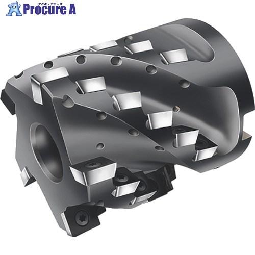 Walter ポーキュパインカッター  ■▼803-6030 F2338F.B.085.Z05.70...