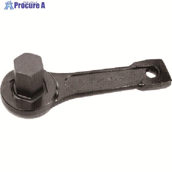 ASH 打撃六角棒スパナ19mm  ▼816-5084 DA1900  1丁