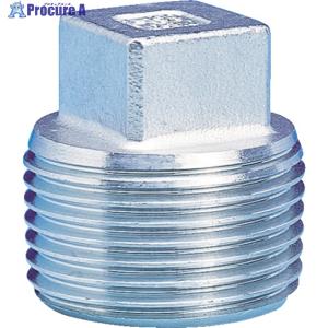 TRUSCO ねじ込み管継手 SUS 四角プラグ 6A   819-1461 TP-6A  1個