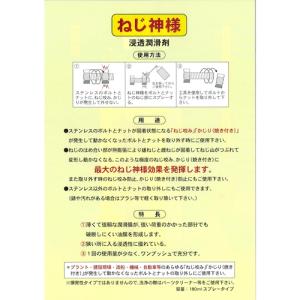 BASARA 浸透・潤滑剤 ねじ神様 ▼819...の詳細画像1