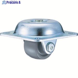 ハンマー プレート式 固定 キャスター 53X53(55X55) ナイロン車 32mm 低床式 中荷重 ▼836-1520 420TPR-N32 H30BA 1個
