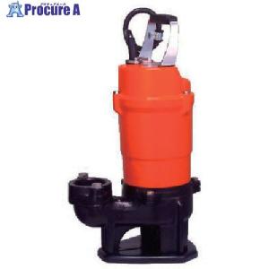 寺田汚水水中ポンプ60hz用 寺田ポンプ 水中ポンプ 200V 汚物用 排水ポンプ 0.75kW 50mm PX-750