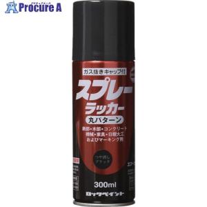 ロック スプレーラッカー ツヤ消しブラック 30...の商品画像