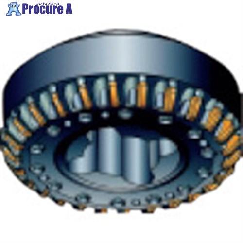 SANDVIK シーティングリング(810)  ■▼858-0293 L260.3-500M-80 ...