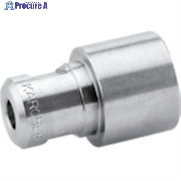 KARCHER 高圧洗浄機用アクセサリー パワーノズル EASY！Lock 25°055(2.113...