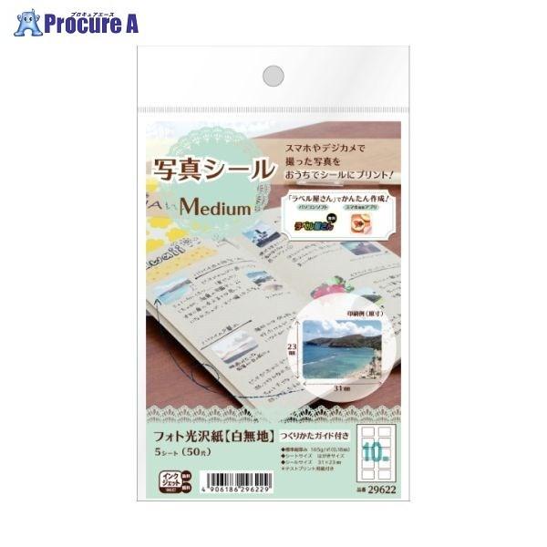3M 写真シール Medium 29622 ▼117649 スリーエムジャパン(株)ジャパン(株) ...