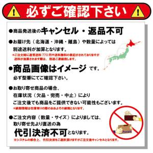 新ダイワ エンジン溶接機 発電機 アーク ガソ...の詳細画像1