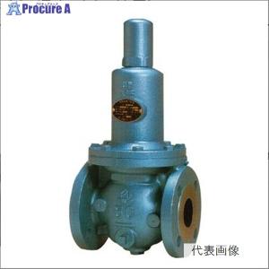 ベン RD44N-FHL3 弁慶 新基準適合 戸別給水用減圧弁【0.25MPa・本体