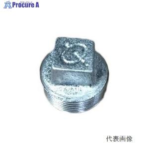 リケン 白 プラグ 15A RCF-シロP 15A ▼1126493 (株)リケン ●i547