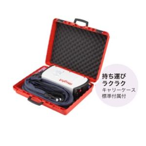 マイト工業 TIG溶接機 100v 200v ...の詳細画像2