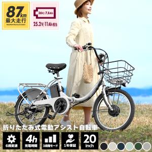 procycle_p-b206epro