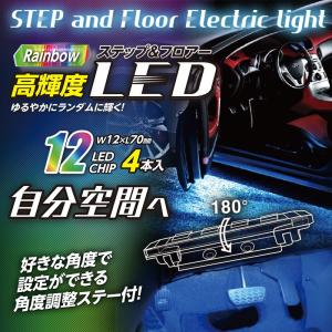 12V 車用 LEDイルミネーション  ステップ ＆ フロアライト