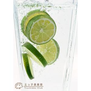 ライム (タヒチライム) 15cmポット接木苗...の詳細画像2