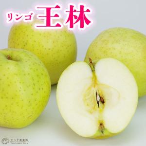 りんご 苗木 【YD（矮性台木） 王林 （おうりん）】 3年生 接ぎ木 約