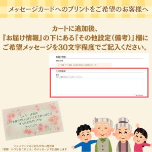 【 敬老の日 】《実付き!!》大実金柑(きんか...の詳細画像4