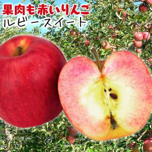 りんご 『 ルビースイート 』 15cmポット苗 （新品種）リンゴ/林檎