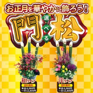 2個セット(一対)選べる門松『 お正月寄せ植え...の詳細画像2