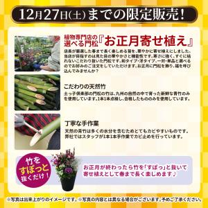 2個セット(一対)選べる門松『 お正月寄せ植え...の詳細画像3