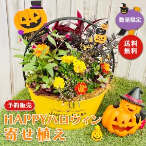 【早期予約特典肥料付き】ハロウィン 寄せ植え 送料無料 ギフト フラワーギフト プレゼント 土っ子倶楽部