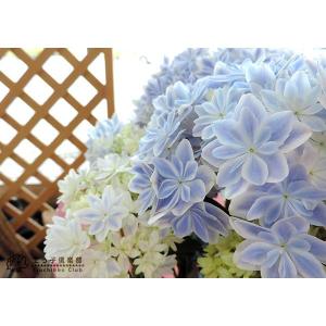 母の日 八重咲き アジサイ『 万華鏡 』ブルー...の詳細画像3