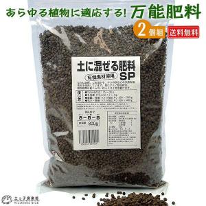 多肉植物 oriミックスベリア No.069 美紫妃 おらいさん苗 送料無料